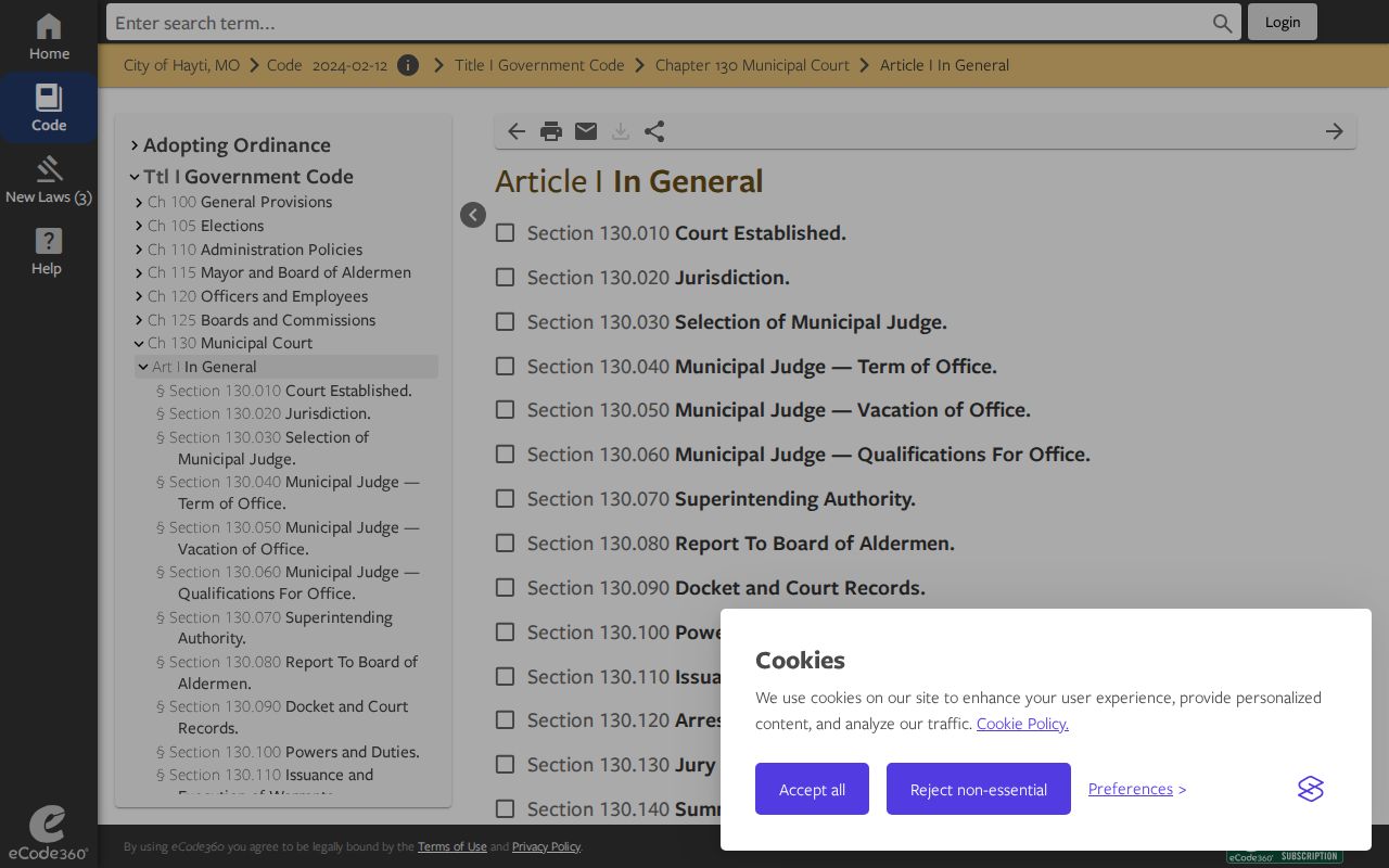 Hayti court records Municipal Court code and city docket books