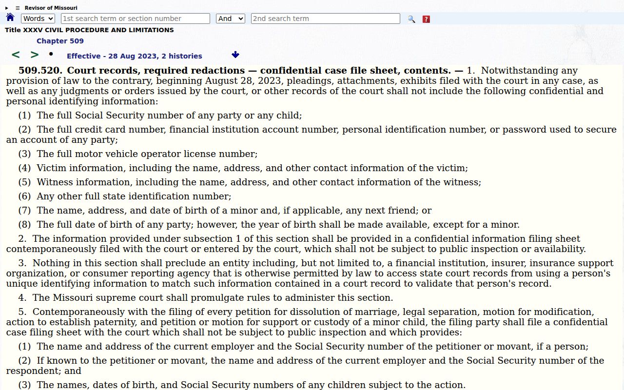 Pemiscot County civil docket confidential filing information reference